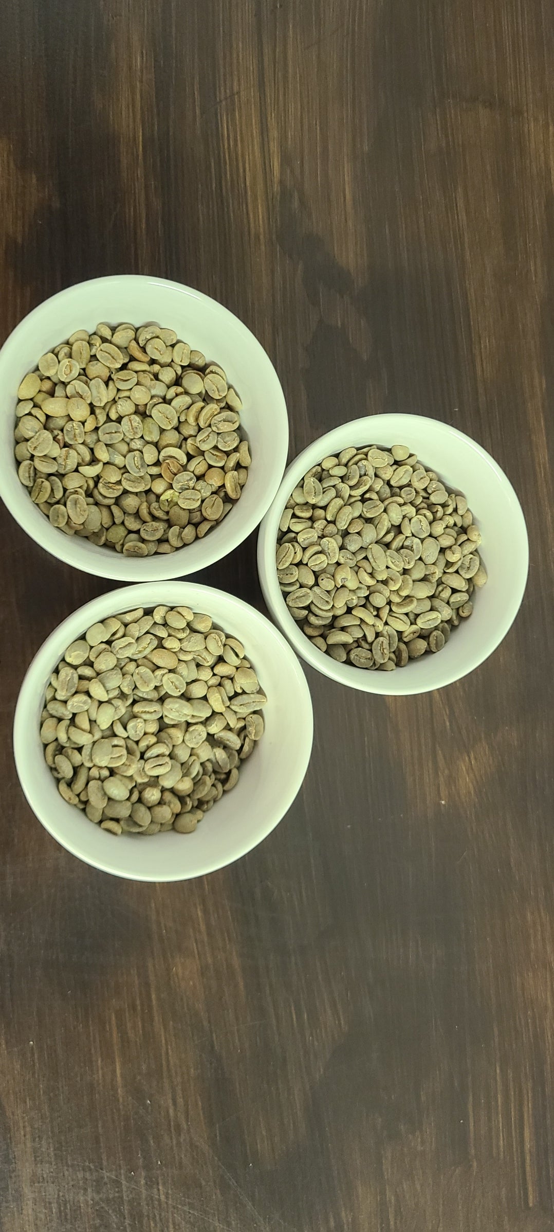 Medium Roast - Ground